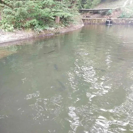 бердо-хауз *